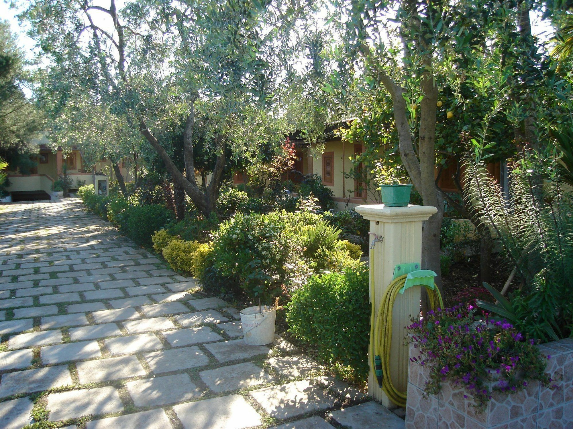 Residence Giardino Vieste Buitenkant foto